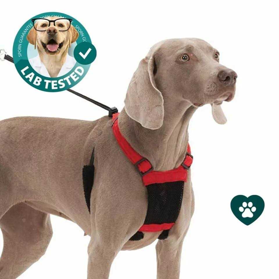 Mesh Non Pull Dog Harness P4776