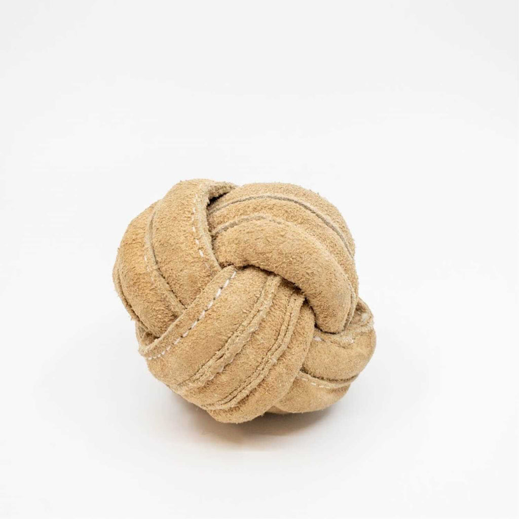 Dog Toy M63254