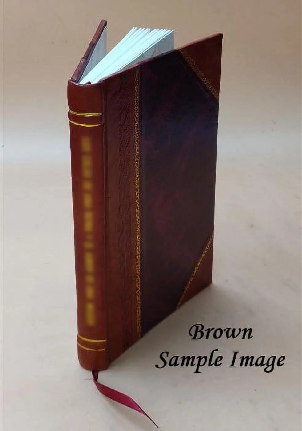 Literary Institute Essay and Poem Leather Bound T249821