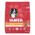 Dry Dog Food P61759
