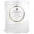 Suede Blanc Classic Candle 9.5 oz C21048
