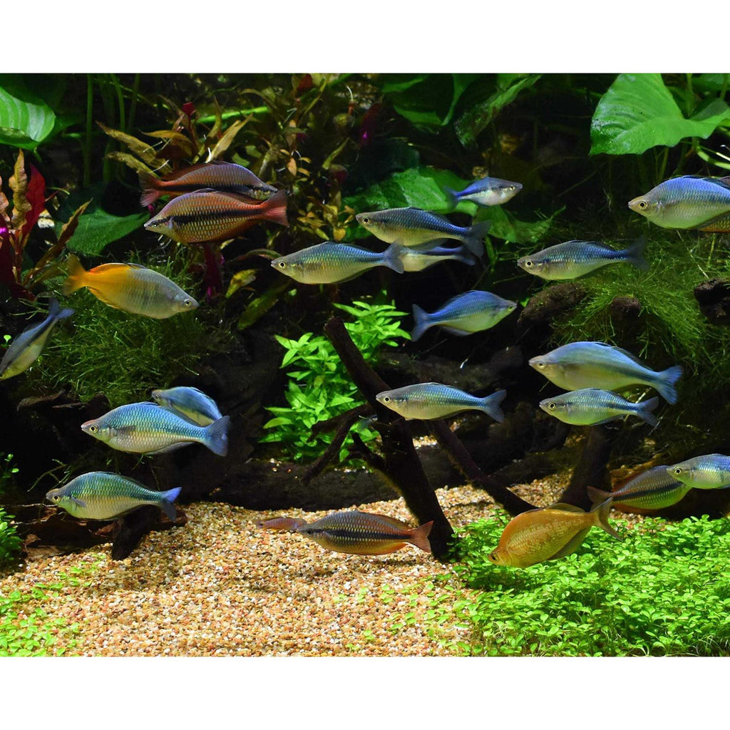 Seachem Pristine Pet Supplies J144