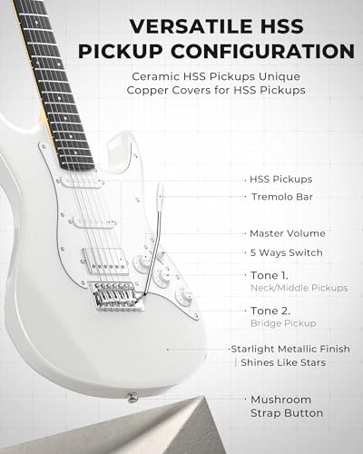 39 Inch HSS Pickup Full Size Solid Body Electric Guitar Kit with Amplifier E998021