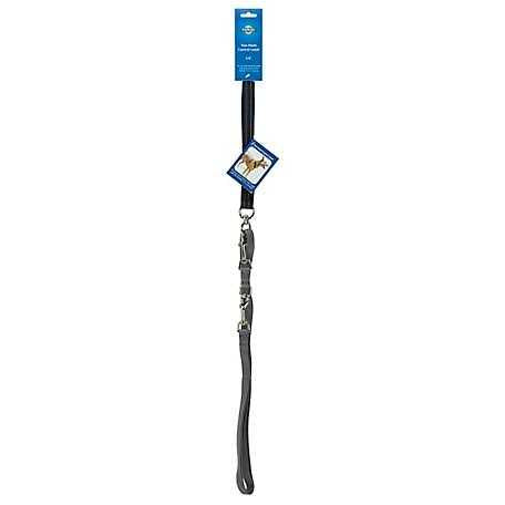 Dog Leash A818