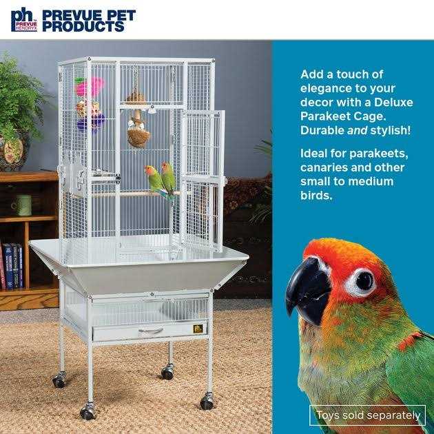 Bird Cage X22549