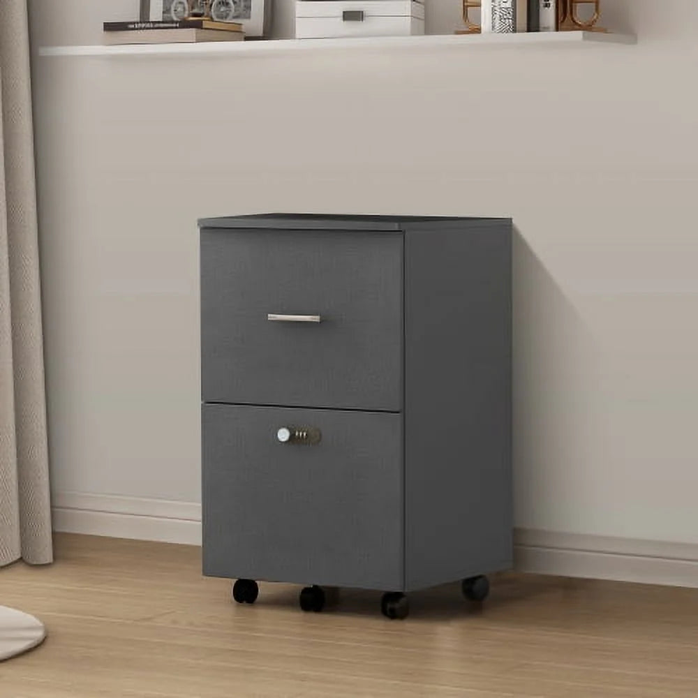 Dark Gray 2 Drawer Rolling File Cabinet N13354