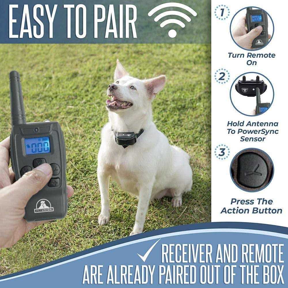 Dog Training Shock Collar with Remote P46565