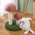 Mushroom Cat Scratcher S150