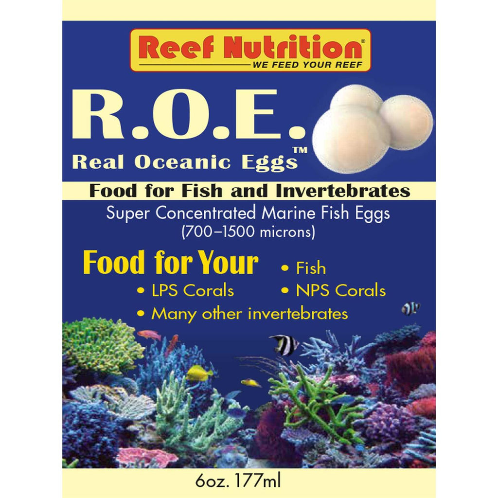 Real Oceanic Eggs D817