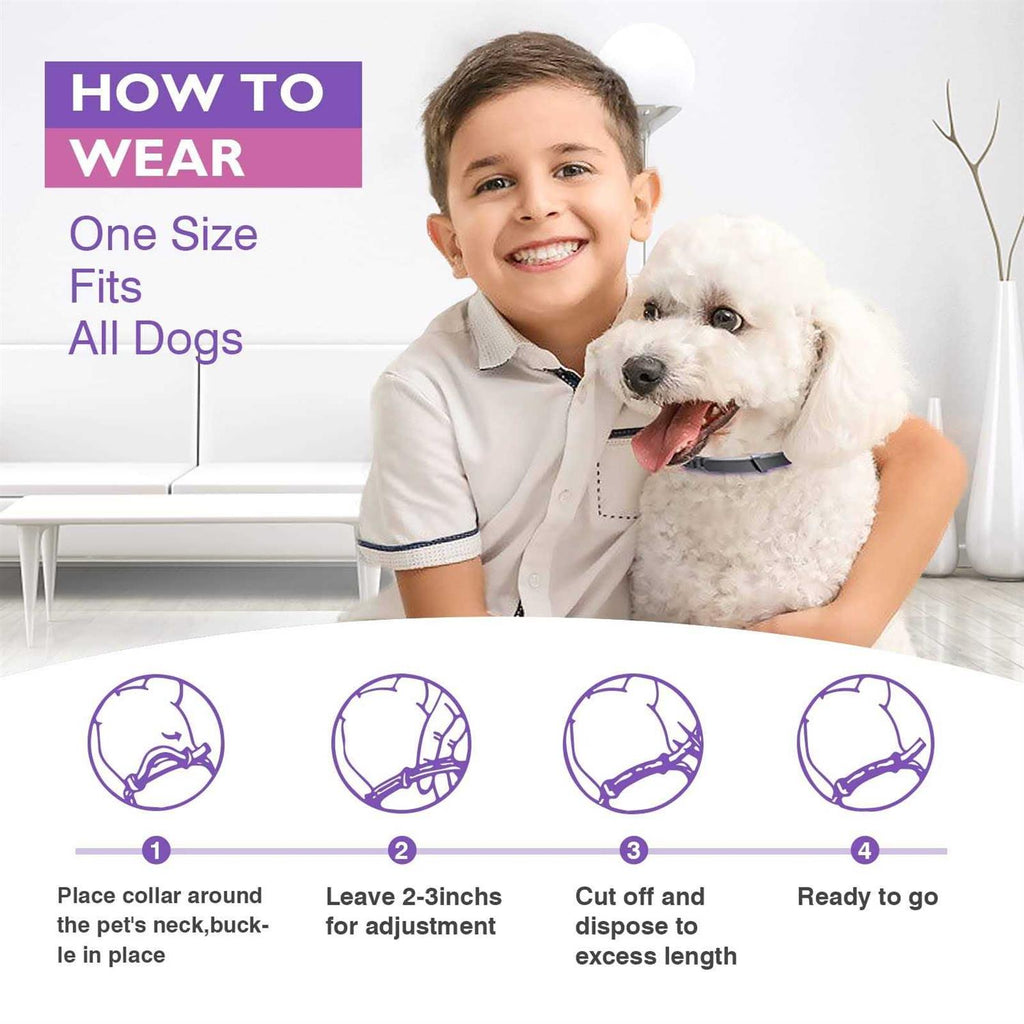 Adjustable Calming Pheromones Collar 3 Packs V35466