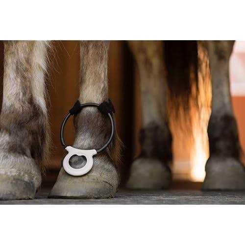 Pet Supplies L927