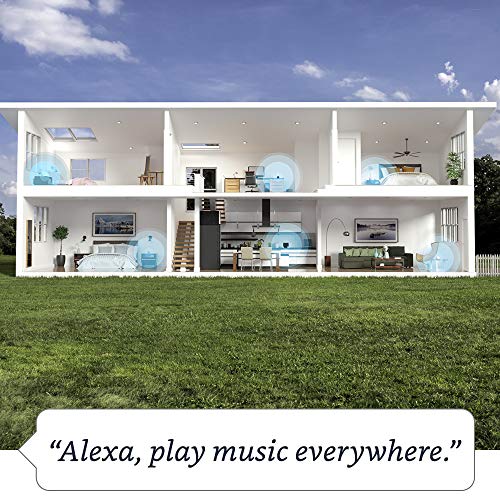 Charcoal Alexa Speaker K24730