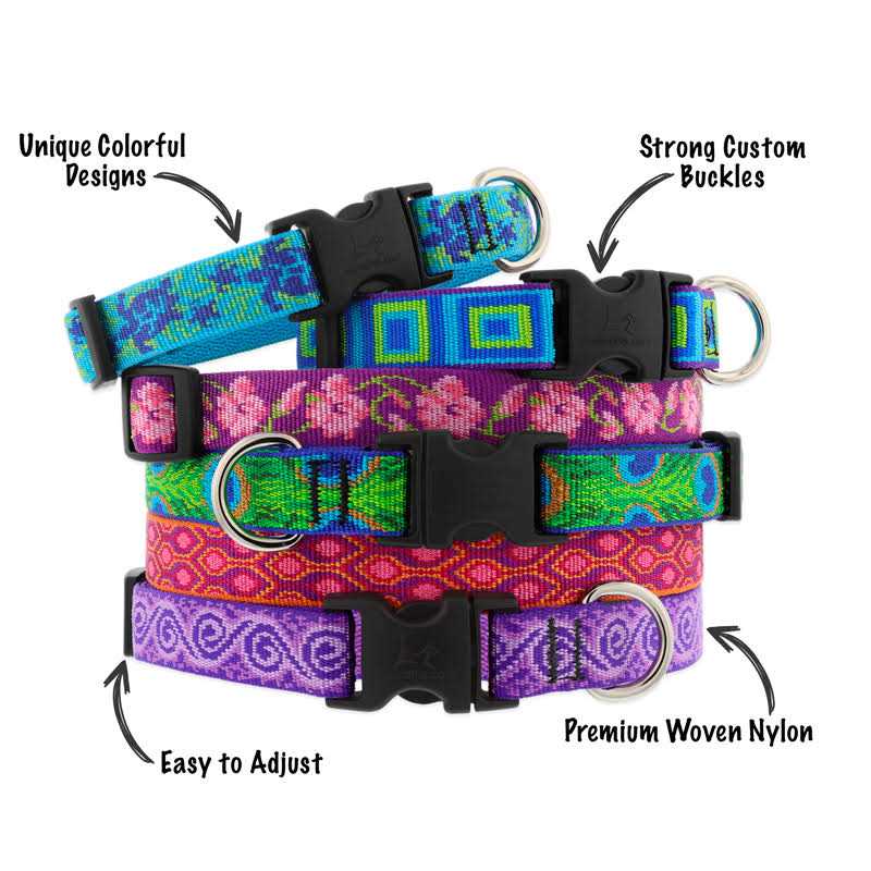 Dog Collar U811