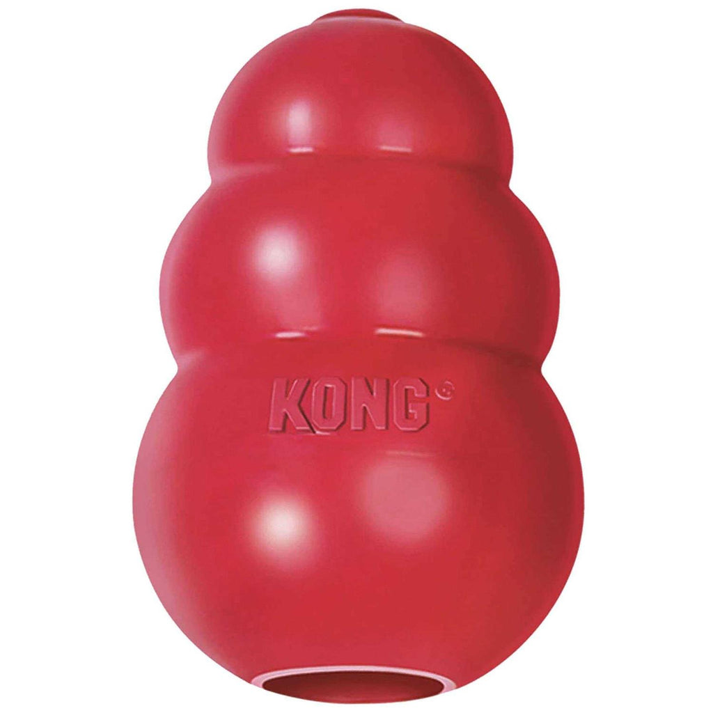 KONG Dog Toy D9314