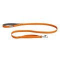 Leash L665619