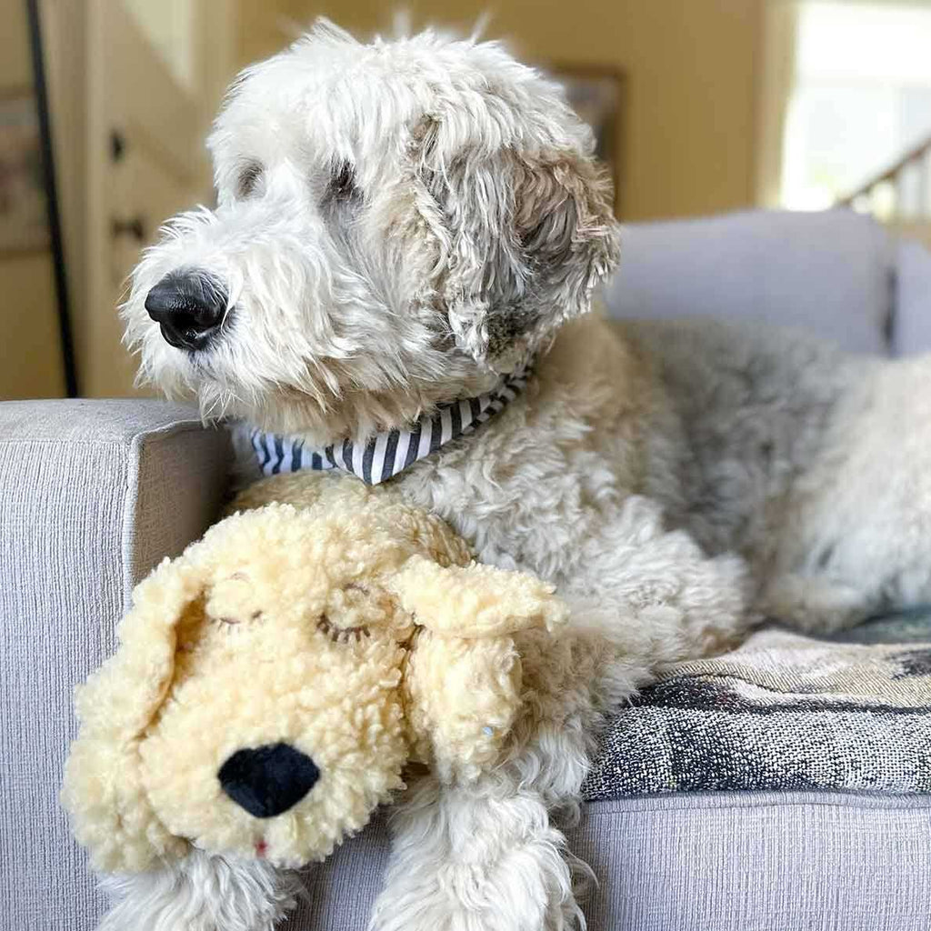 Smart Heartbeat Toy for Pet Anxiety Relief N989