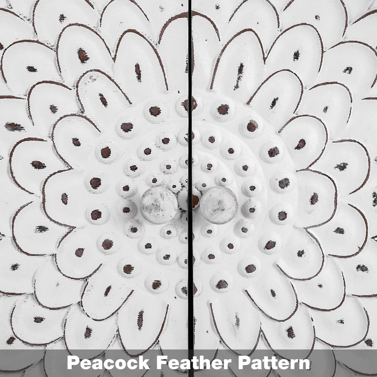 2-Door Retro Storage Cabinet with Carved Finch Feather Pattern White A99397