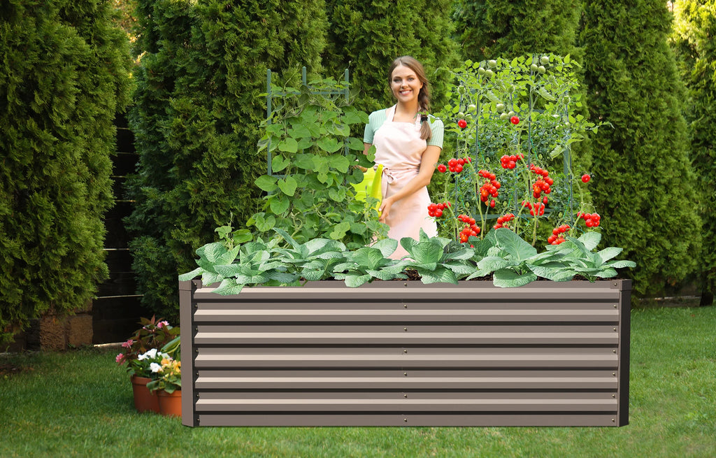 Galvanized Steel Raised Garden Bed 6x3x2 ft Brown R4517