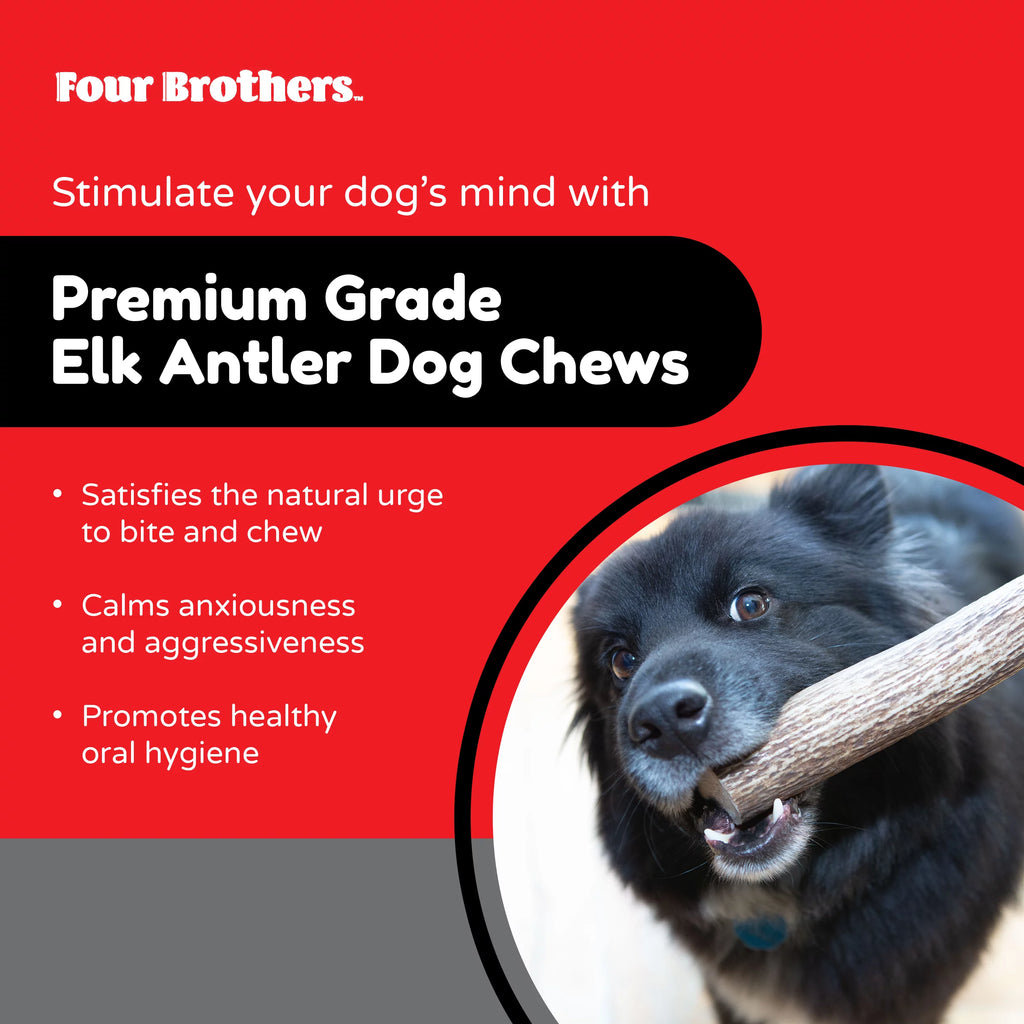 Elk Antlers Dog Chew S139965