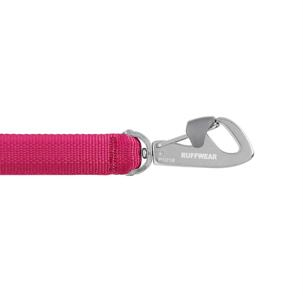 Leash L665619