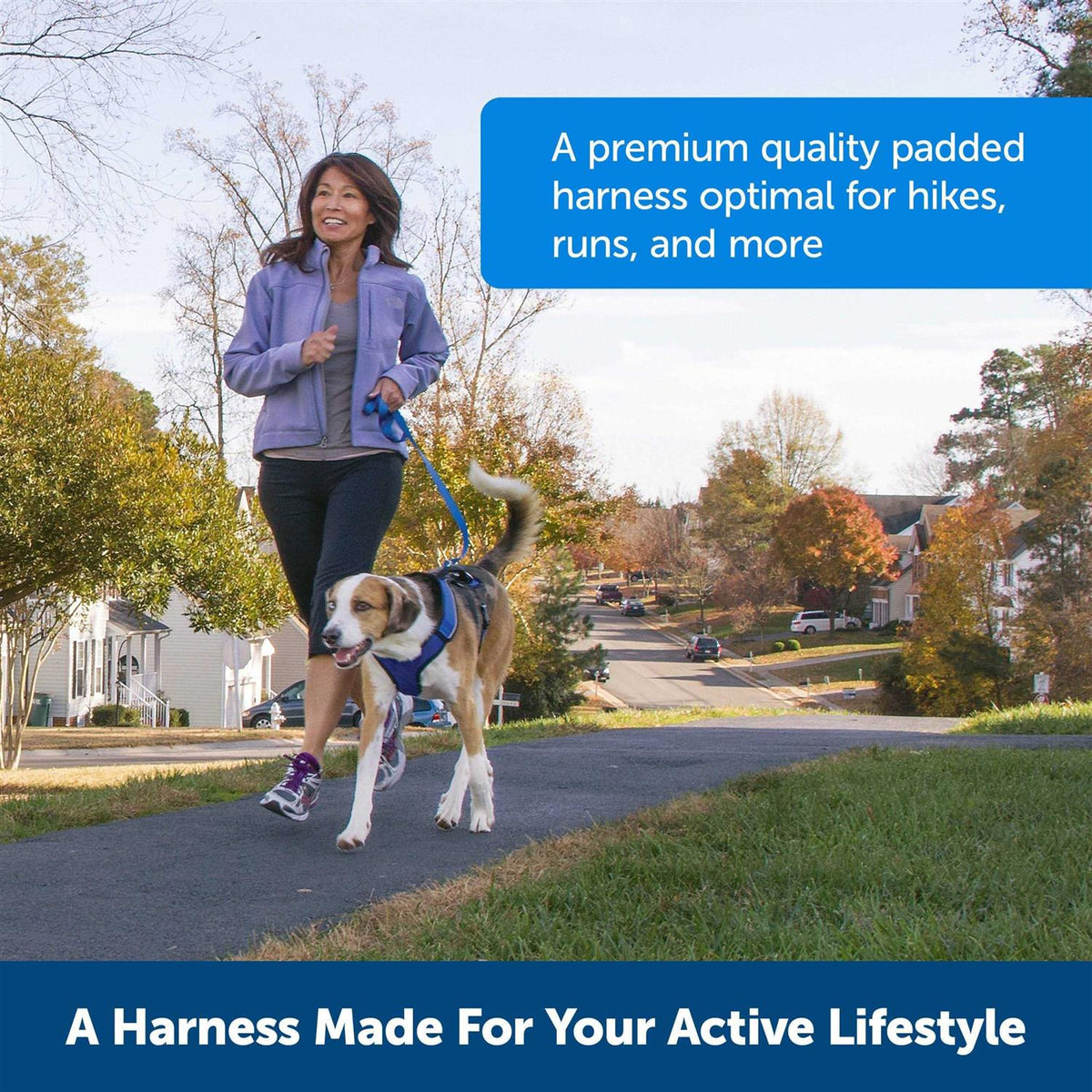 Dog Harness I939135