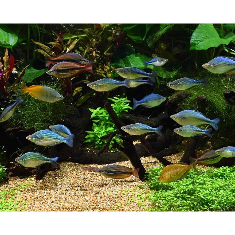 Pet Supplies U3217