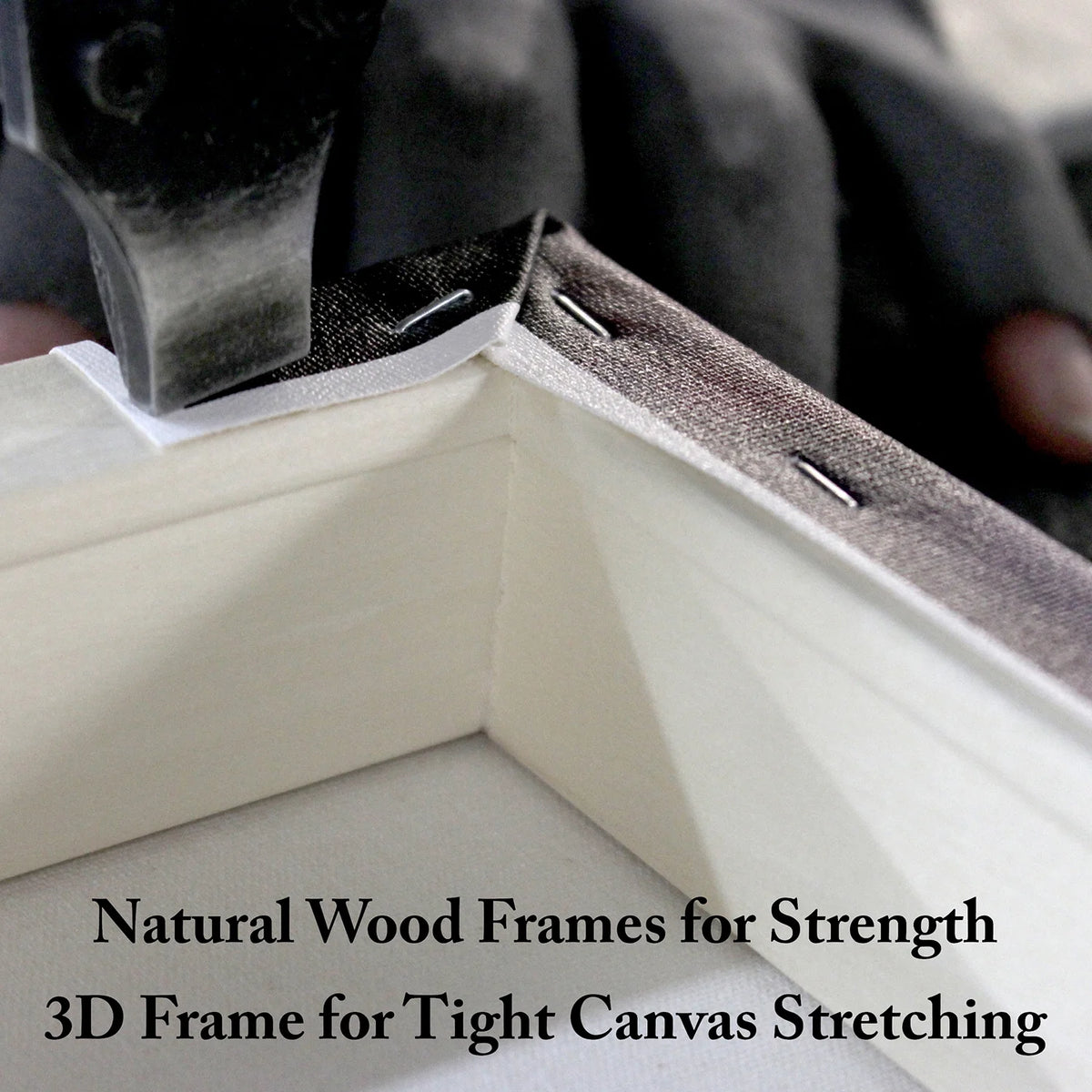 Canvas Art F660
