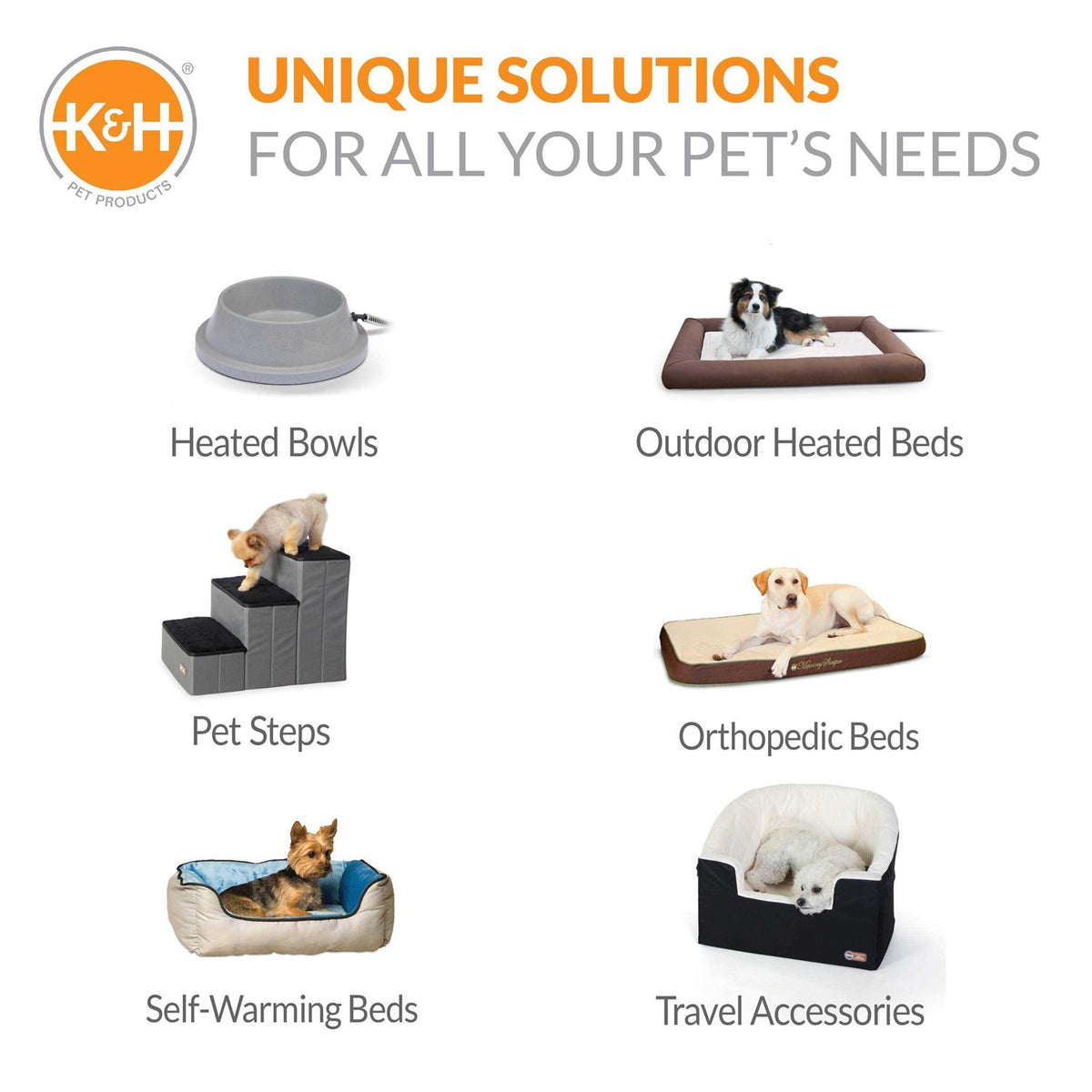 Elevated Pet Cot F17715