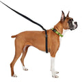 Retractable Dog Leash D950