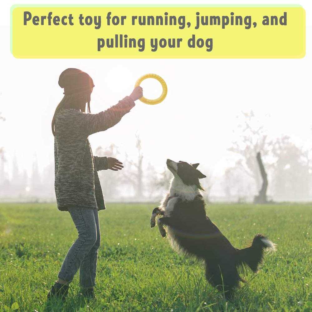 Dog Training Ring and Flying Disc Dog Toy M53500