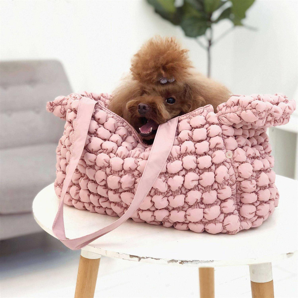 Pet Carrier W366459