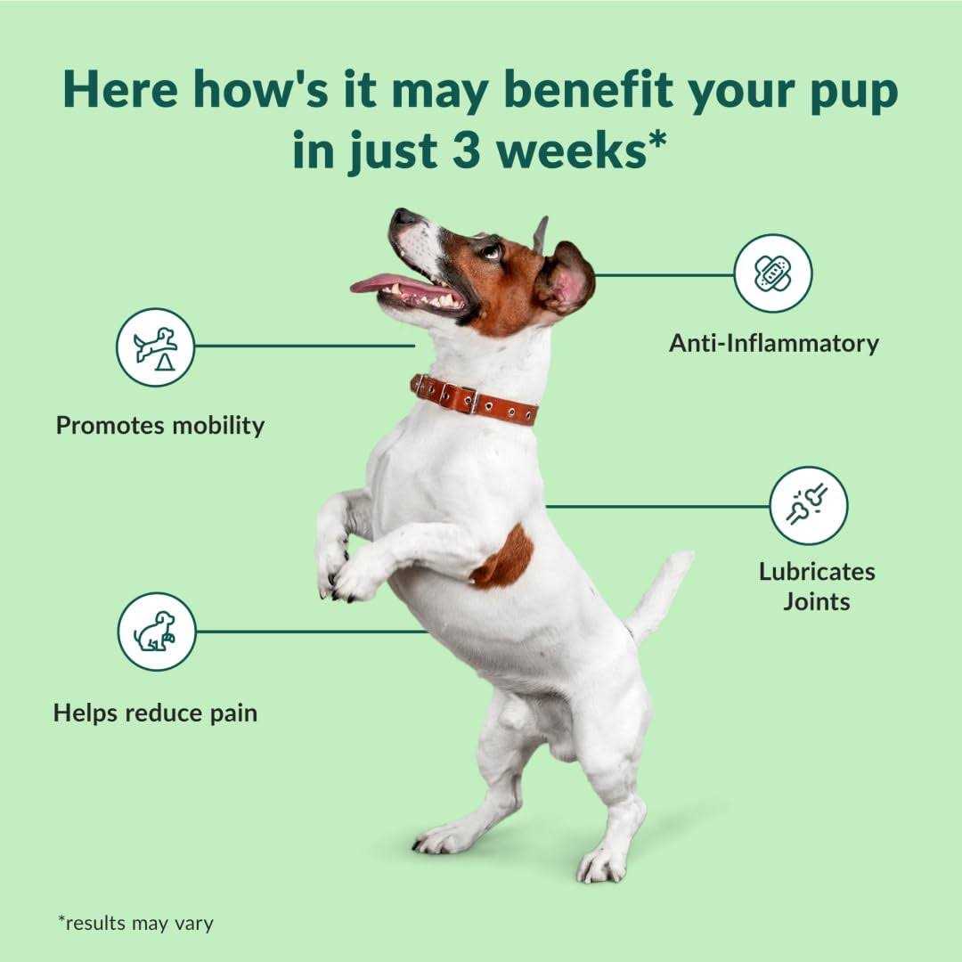 Chewable Dog Hip and Joint Supplement E490487