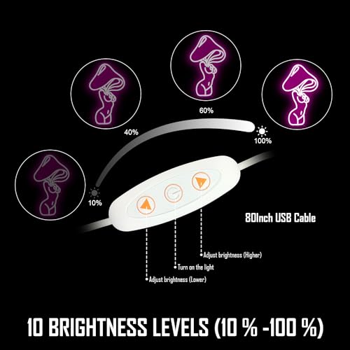 Dimmable LED Neon Sign Z209