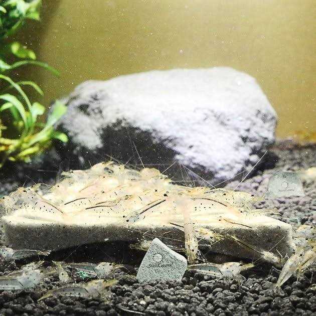 Shrimp Mineral Rocks for Molting R733137