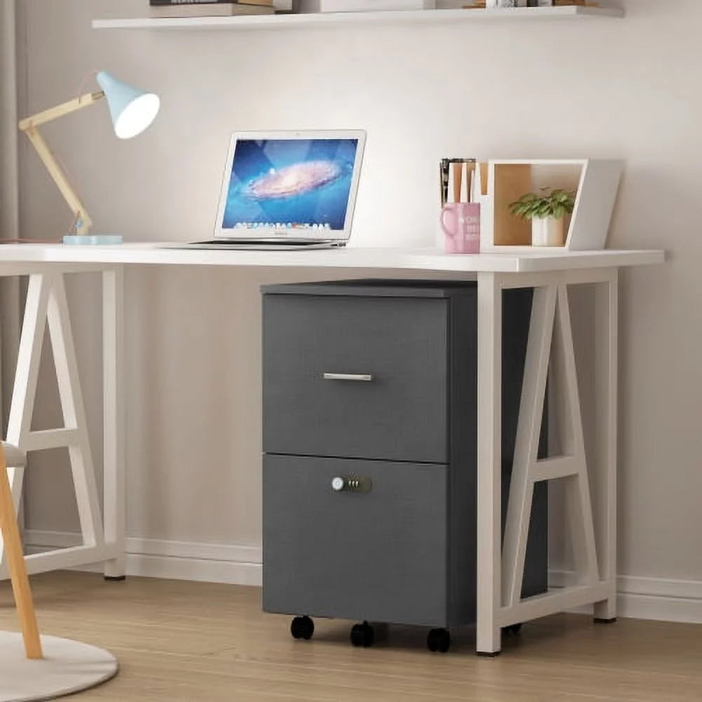 Dark Gray 2 Drawer Rolling File Cabinet N13354