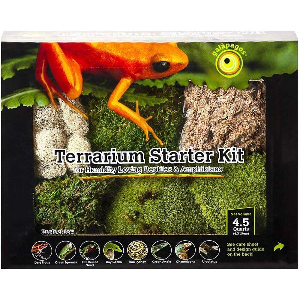 Terrarium Starter Kit T469622