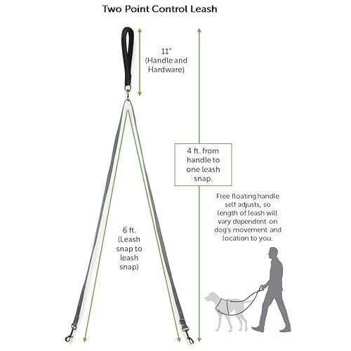 Dog Leash A818