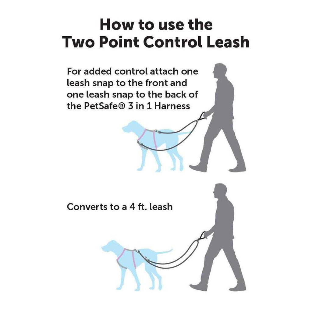 Dog Leash A818