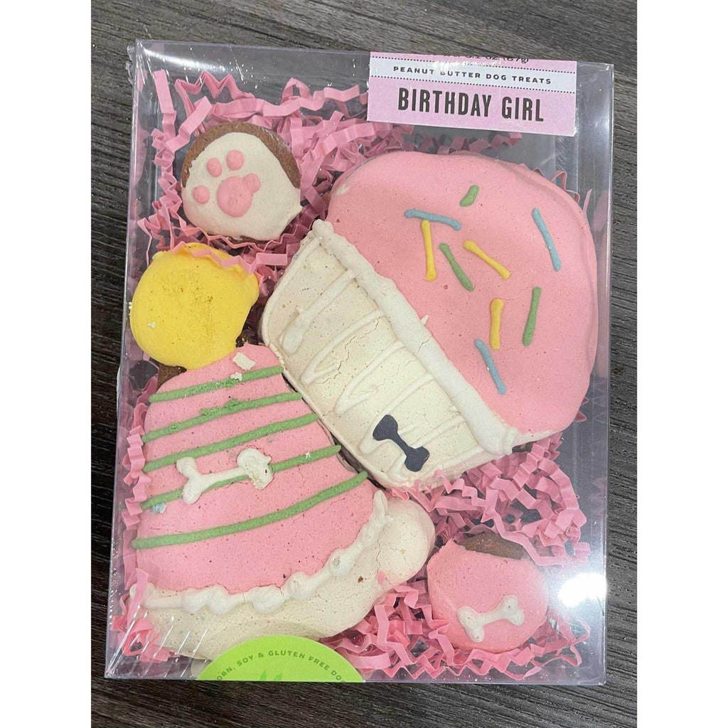 Birthday Boy Pet Supplies C70605