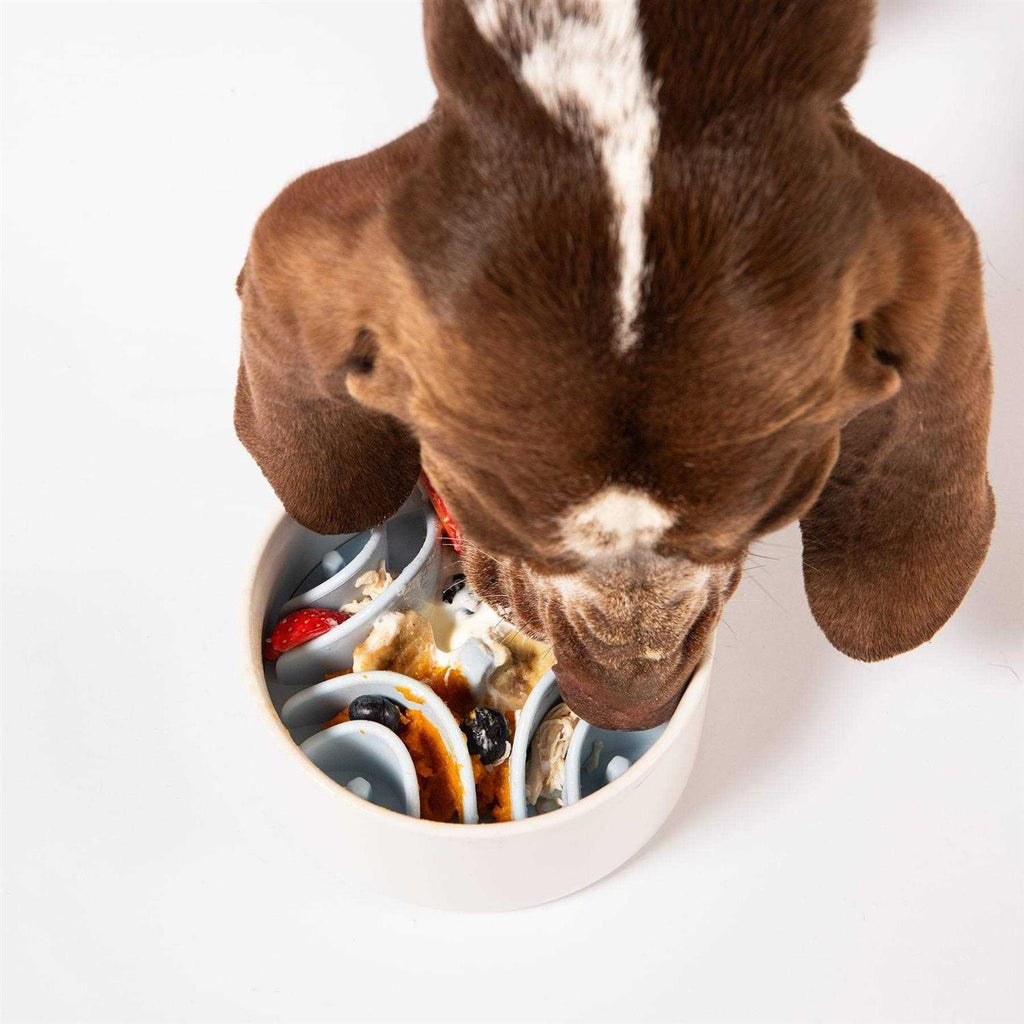 Silicone Dog Feeding Mat Z25708
