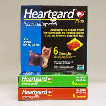 Heartgard Plus Chewables for Dogs P273