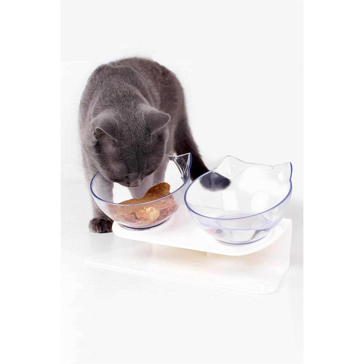 Elevated Cat Bowls E4306