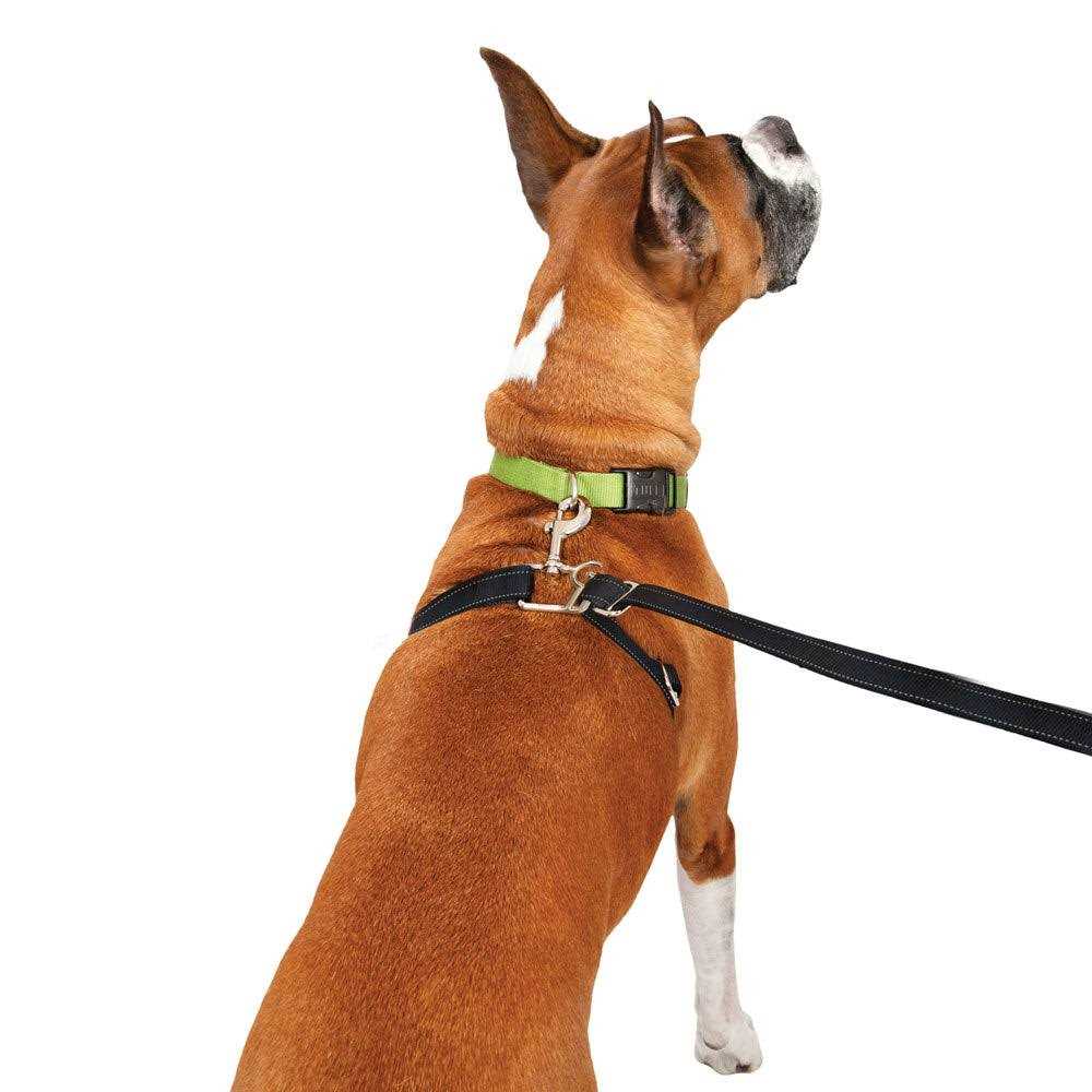 Retractable Dog Leash D950