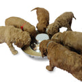 Stainless Steel Puppy Dog Bowls Y193695