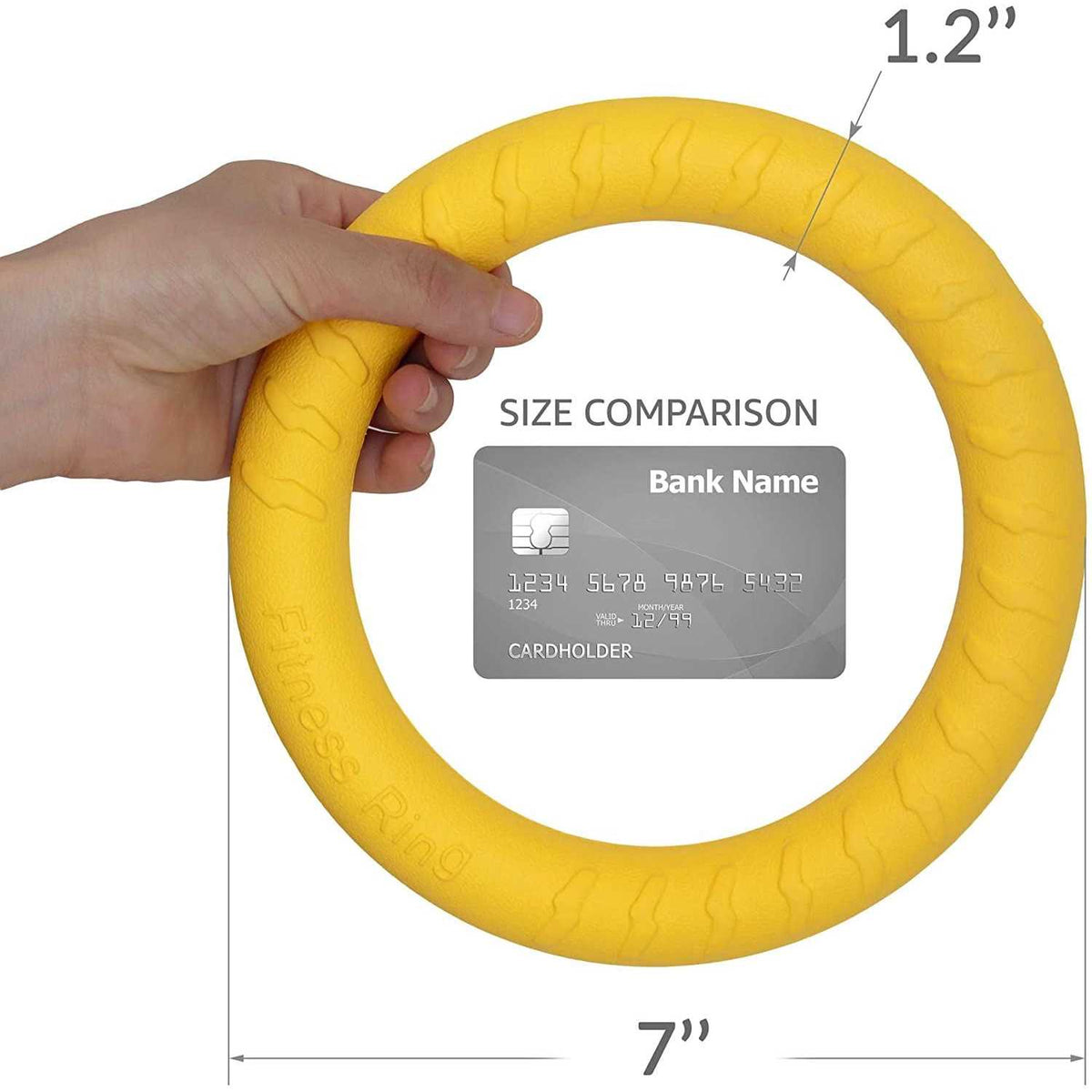Dog Training Ring and Flying Disc Dog Toy M53500