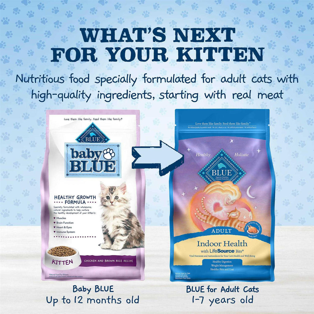 Chicken and Brown Rice Kitten Dry Cat Food B477