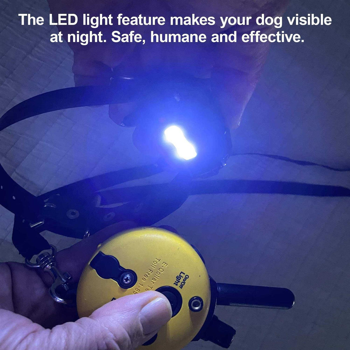 Dog Collar Remote G5167