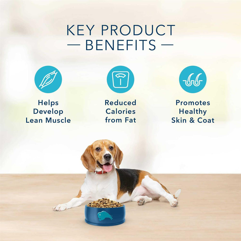 Turkey & Potato Dry Dog Food C68206