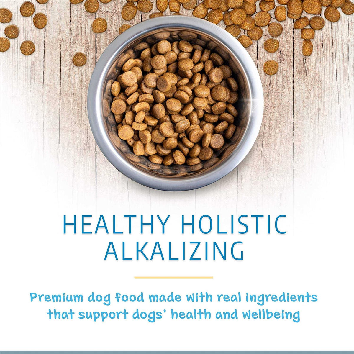 Dry Dog Food R6595