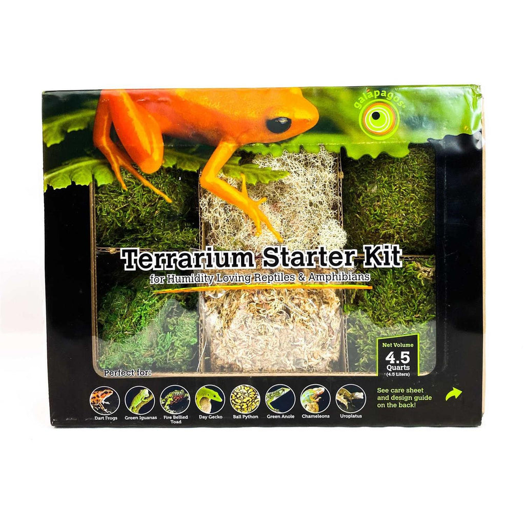 Terrarium Starter Kit T469622